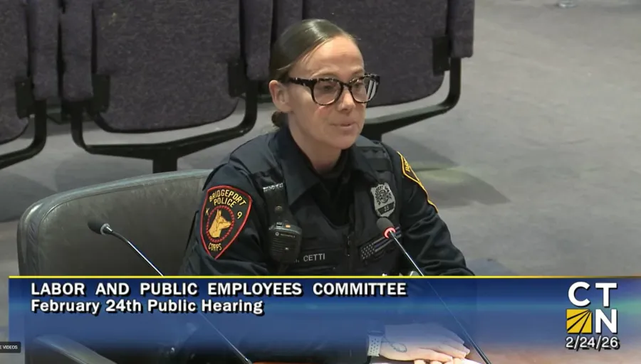 Marie Cetti Testifying